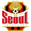 FC Seoul Football Team Results