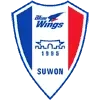 Suwon Bluewings Football Team Results