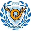 Daegu FC Football Team Results