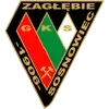 Zaglebie Sosnowiec Football Team Results