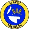 Slavoj Trebisov Football Team Results