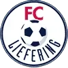 FC Liefering Football Team Results