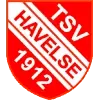 TSV Havelse Football Team Results