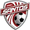 Santos de Guápiles Football Team Results