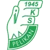 Pelikan Lowicz Football Team Results