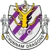 Jeonnam Dragons Football Team Results