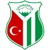 Ceyhanspor Football Team Results