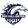 Box Hill United Football Team Results