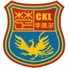 Xinjiang Tianshan Football Team Results