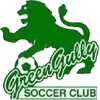 Green Gully Football Team Results